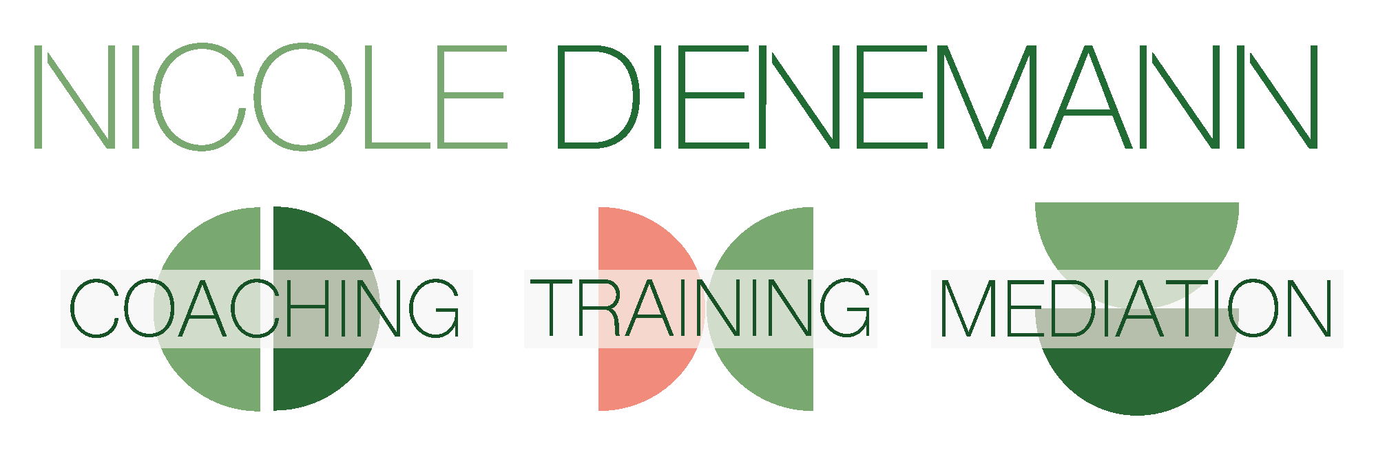 Logo Dienemann